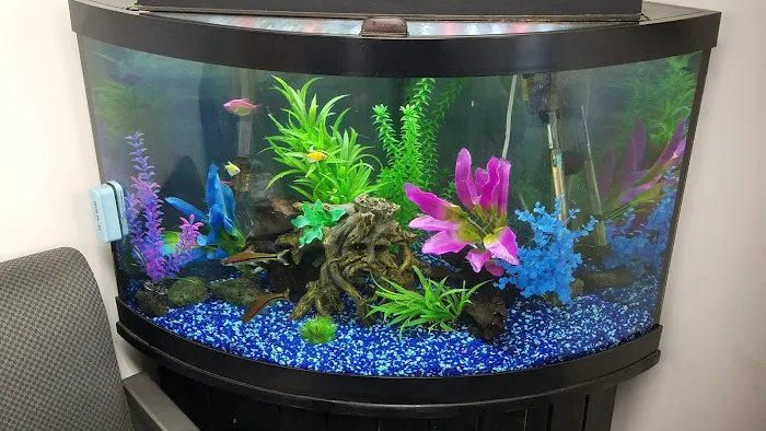 San Diego Aquarium Cleaning Picture 6
