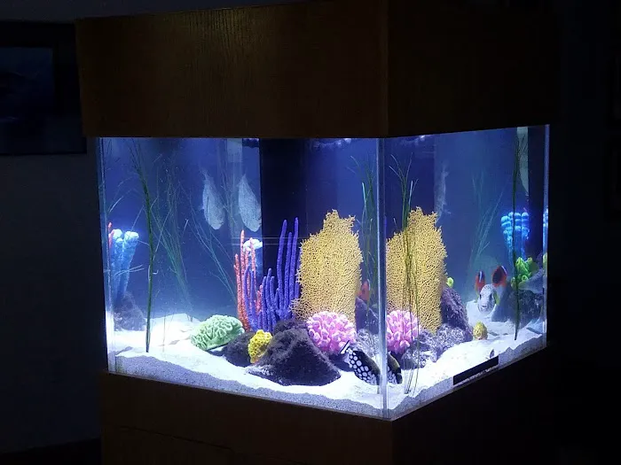 San Diego Aquarium Cleaning Picture 7