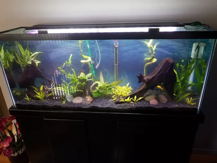 San Diego Aquarium Cleaning Picture 8