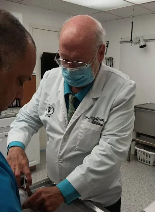 Central Animal Clinic Picture 3