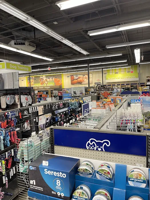 Petco Picture 2