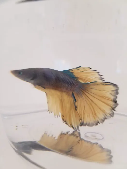 Petco Picture 4