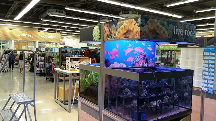 Petco Picture 8