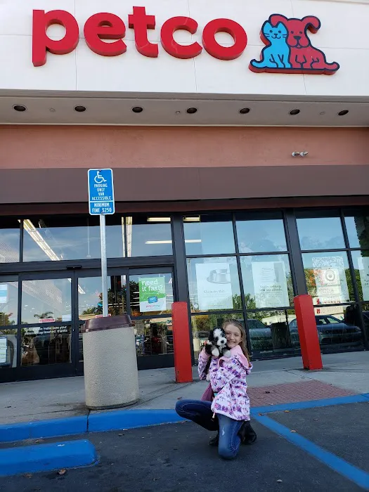 Petco Picture 10