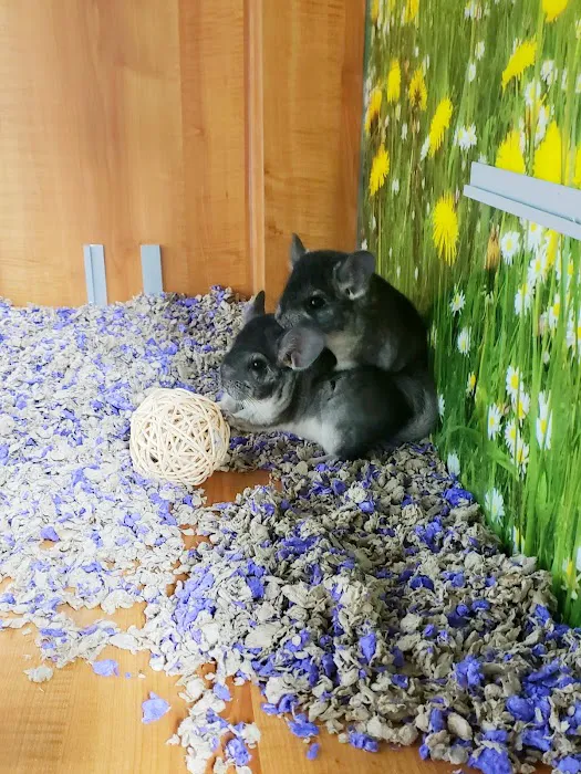 Petco Picture 9
