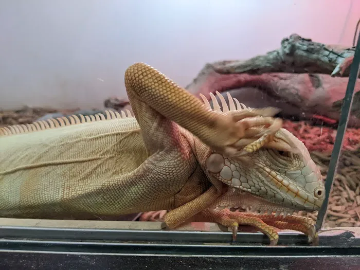 Pet Kingdom Picture 1