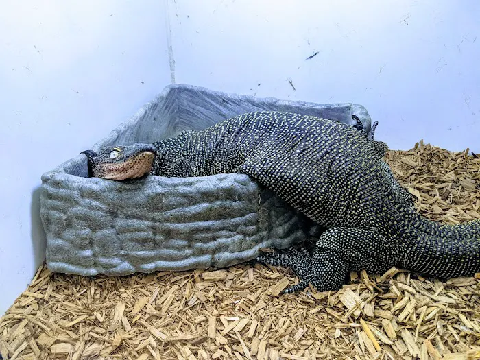 Pet Kingdom Picture 3