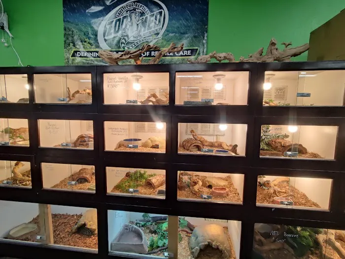 Pet Kingdom Picture 6