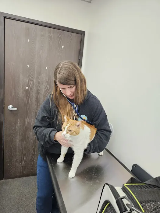 Mountain View Animal Hospital Picture 3