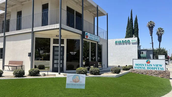 Mountain View Animal Hospital Picture 5