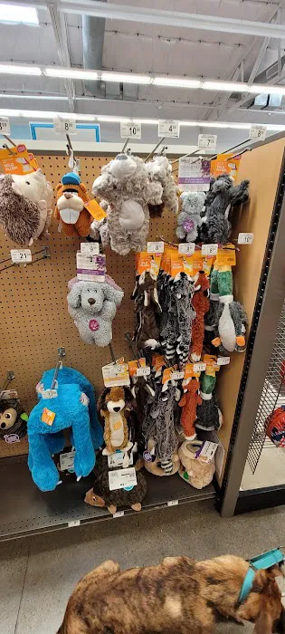 Unleashed by Petco Picture 3