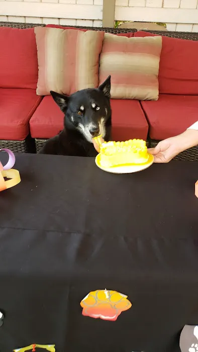 Original Paw Pleasers Dog Bakery Picture 4