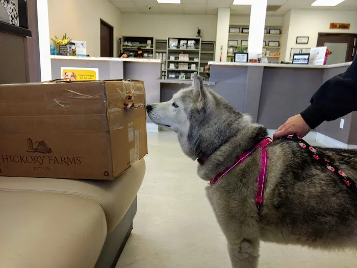 Park Animal Hospital Picture 7