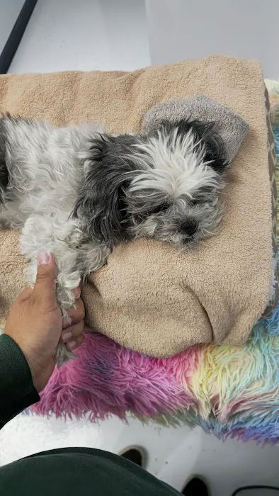 Simi Valley Animal Urgent Care Picture 3