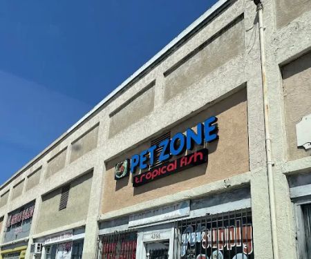 Pet Zone Tropical Fish
