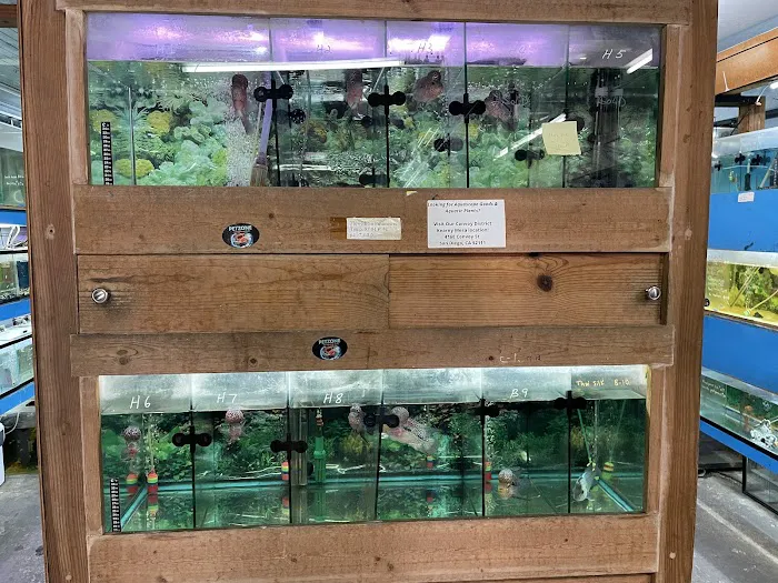 Pet Zone Tropical Fish Picture 5
