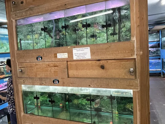 Pet Zone Tropical Fish Picture 8