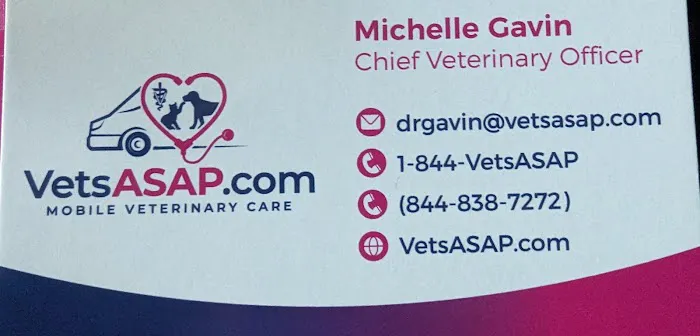 VetsASAP Mobile Veterinary Care Picture 2