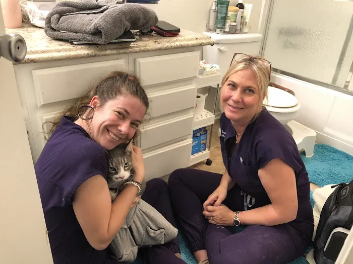 VetsASAP Mobile Veterinary Care Picture 6