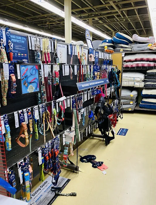 Petco Picture 1
