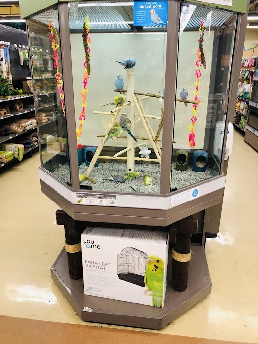 Petco Picture 2