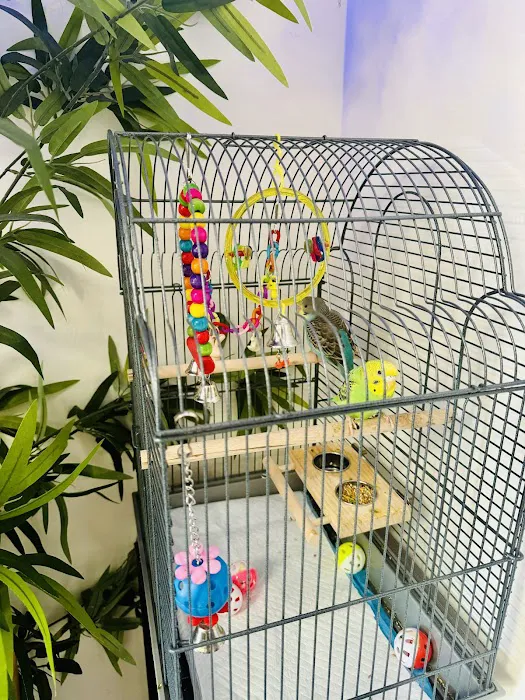 Petco Picture 3