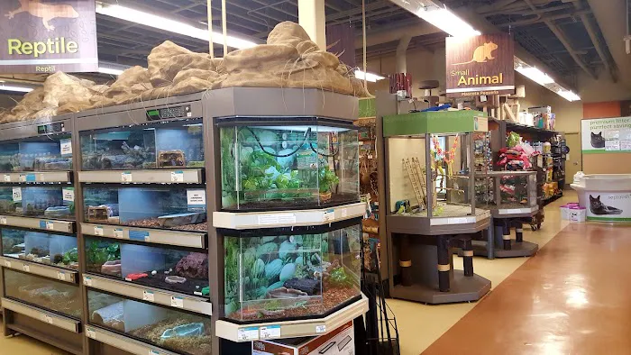 Petco Picture 7