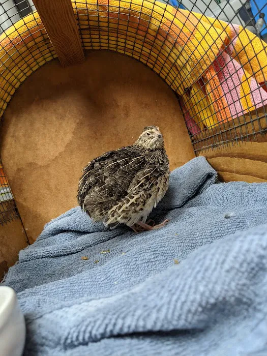 All Animals Veterinary Hospital Picture 8