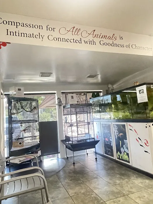 All Animals Veterinary Hospital Picture 3
