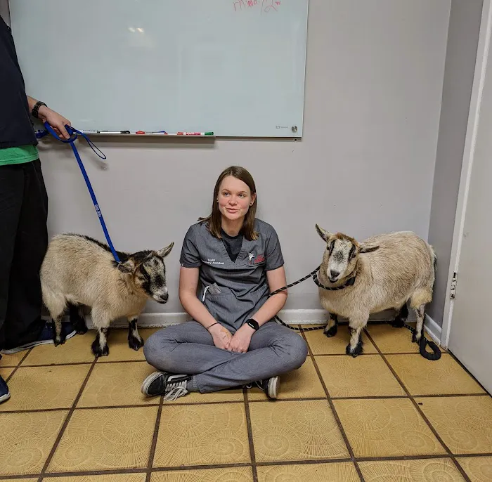 All Animals Veterinary Hospital Picture 6