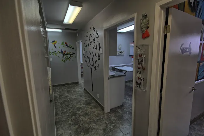 All Animals Veterinary Hospital Picture 7