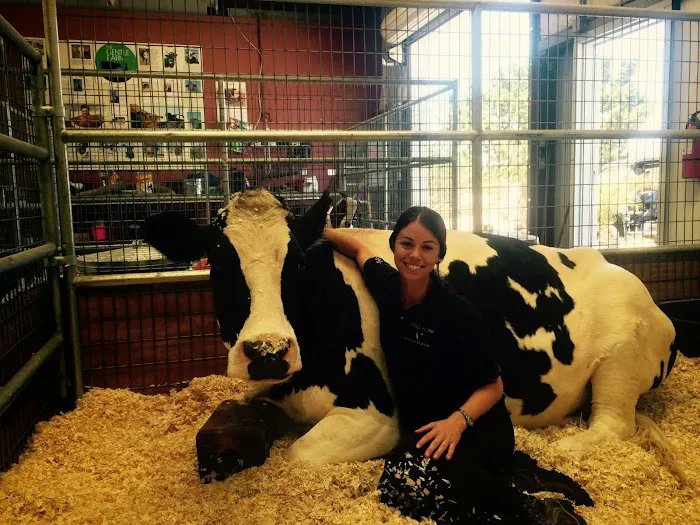 Vital Equine Holistic Veterinary Medicine Picture 2
