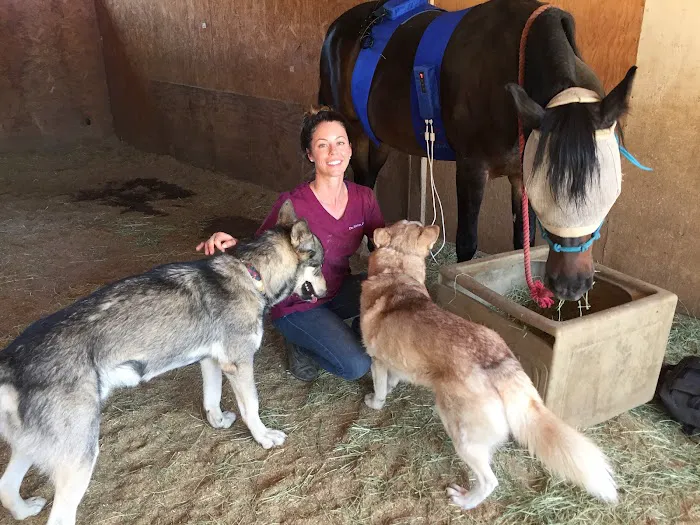 Vital Equine Holistic Veterinary Medicine Picture 9