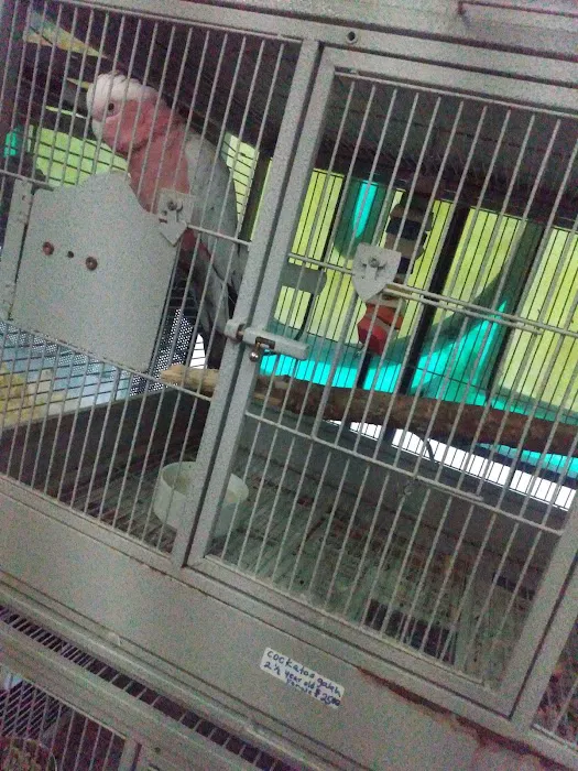 Arrieros Pet Shop Picture 1