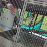 Arrieros Pet Shop