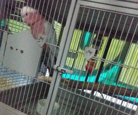 Arrieros Pet Shop