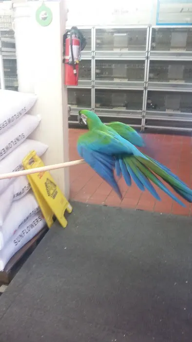 Arrieros Pet Shop Picture 5