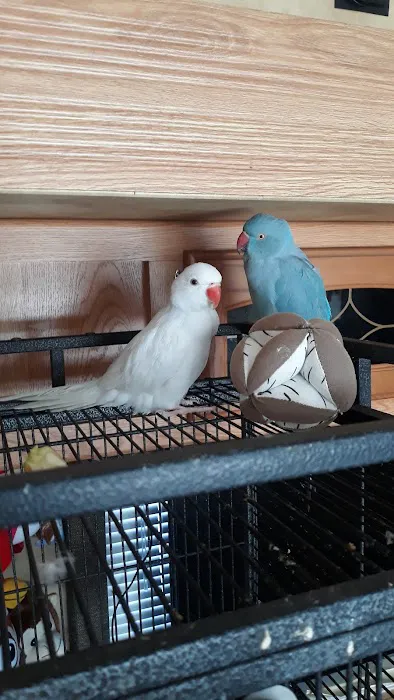 Arrieros Pet Shop Picture 2