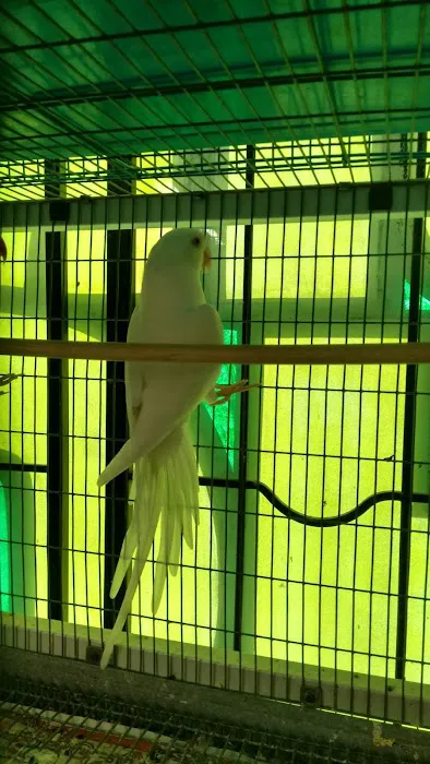 Arrieros Pet Shop Picture 7