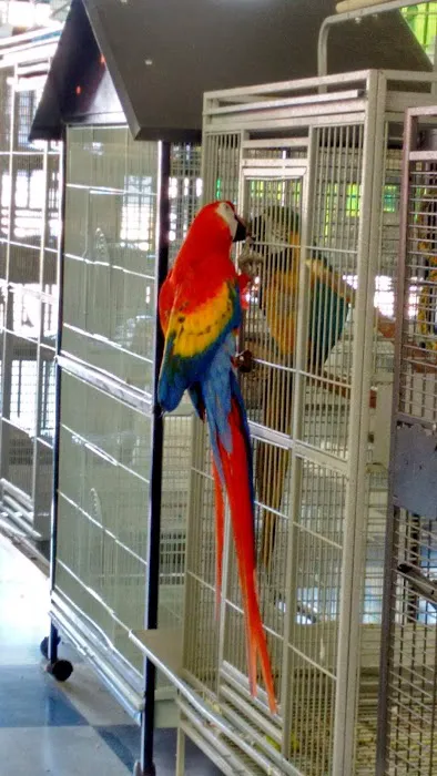 Arrieros Pet Shop Picture 6
