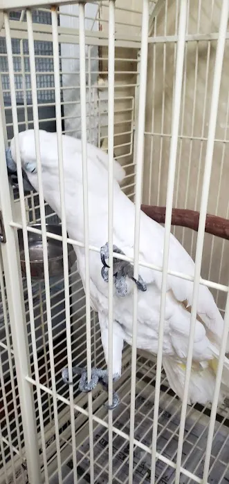 Arrieros Pet Shop Picture 10