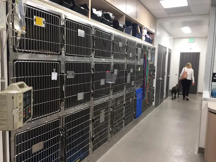 Paws & Claws Veterinary Hospital & Mobile Vet Picture 2