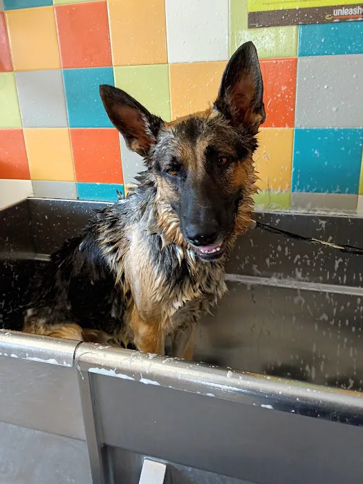 Unleashed by Petco Picture 3