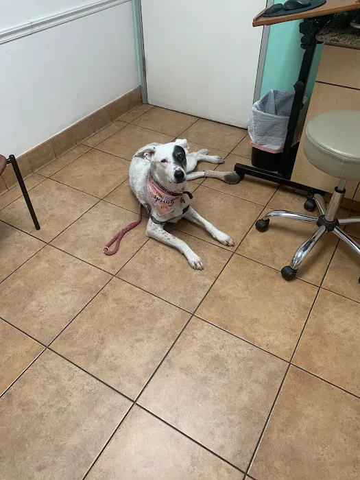 West Hills Animal Hospital Picture 2