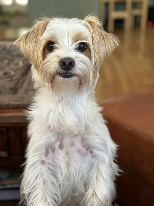 West Hills Animal Hospital Picture 10