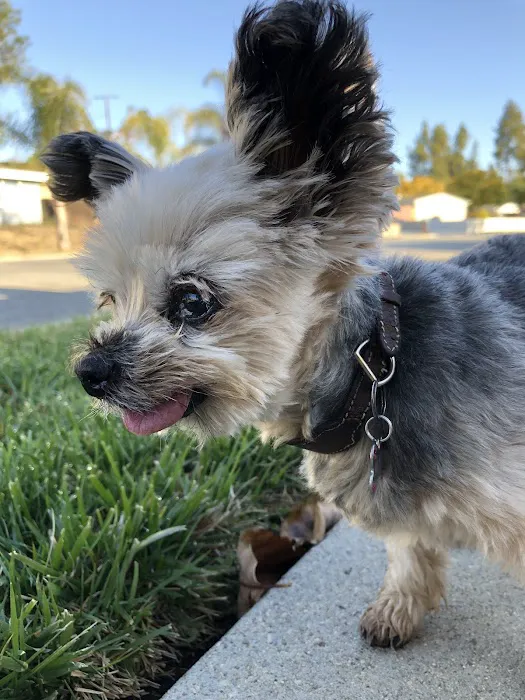 West Hills Animal Hospital Picture 9
