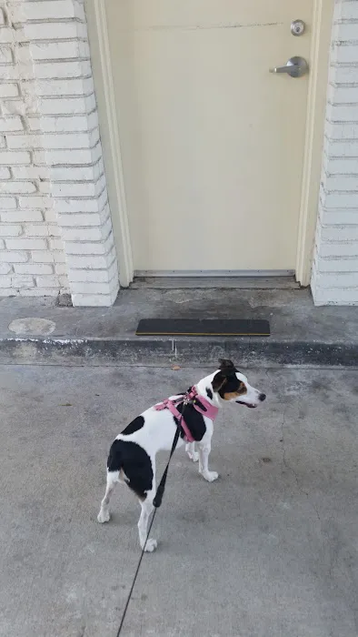 West Hills Animal Hospital Picture 8
