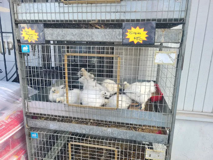 Pop's Feed and Supply Picture 4