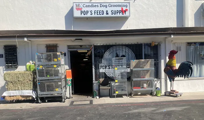 Pop's Feed and Supply Picture 8