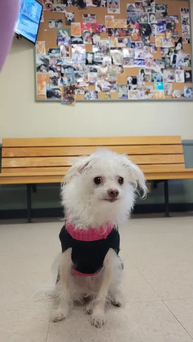 Veterinary Medical Center of Woodland Hills Picture 7
